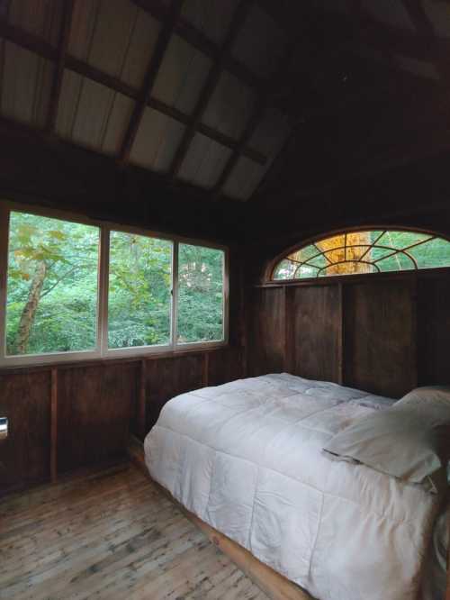 Cozy wooden cabin interior with a bed and large windows overlooking a lush green forest.