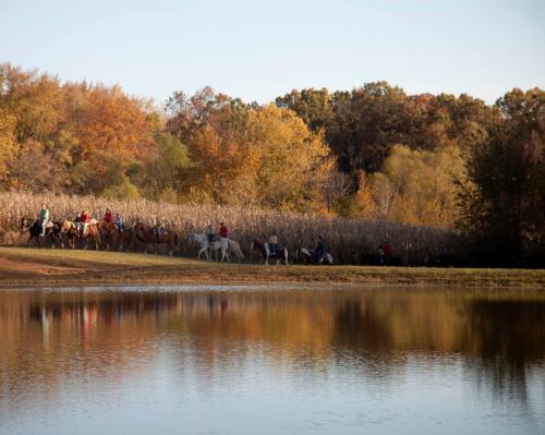 A group of horseback riders along a cornfield by a calm lake, surrounded by autumn foliage.