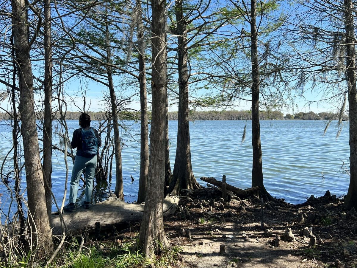 This Scenic Hiking Trail In Louisiana Leads Right To Lake Martin