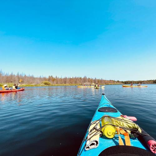 A group of kayakers paddles on a calm lake under a clear blue sky, surrounded by trees in the distance.