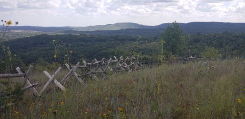 A scenic view of rolling hills and a wooden fence, surrounded by wildflowers under a cloudy sky.