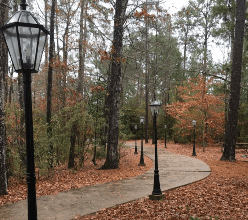 A winding path through a wooded area, lined with vintage street lamps and surrounded by autumn foliage.