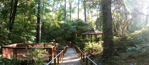 A serene forest path leads to a gazebo, surrounded by lush greenery and dappled sunlight filtering through the trees.