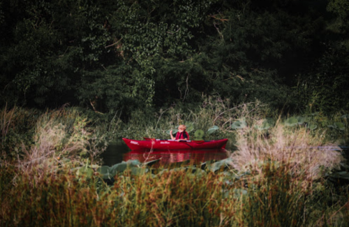 A person in a red kayak paddles through a serene, green landscape with tall grasses and trees.