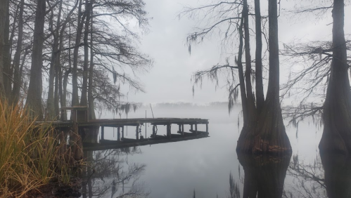 A misty lake scene with a wooden dock, cypress trees, and soft reflections on the water's surface.