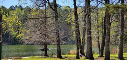 A serene lake scene with trees, a boat on the water, and a hammock in a peaceful outdoor setting.