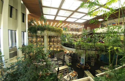 A spacious library filled with greenery, featuring multiple levels and bookshelves surrounded by plants.