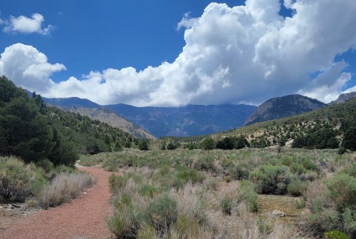 A winding dirt path through a grassy landscape, with mountains and fluffy clouds in the background.