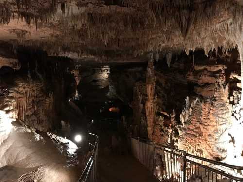 A dimly lit cave interior featuring stalactites and stalagmites, with a pathway and railings for visitors.