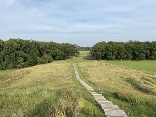 A wooden walkway leads through grassy fields towards a tree line under a clear sky.