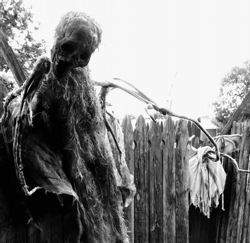 A spooky, tattered scarecrow figure with a skeletal face hangs against a wooden fence in a black and white setting.