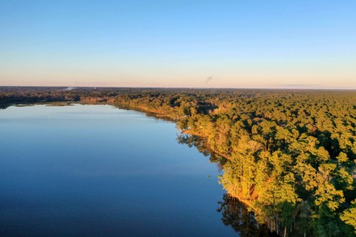 Aerial view of a serene lake surrounded by lush green trees under a clear blue sky.