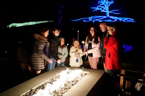 A group of people roasting marshmallows over a fire pit, with colorful lights in the background.