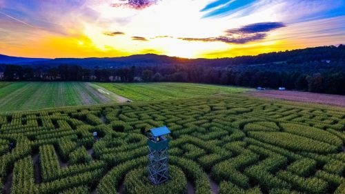 Aerial view of a corn maze at sunset, with a lookout tower amidst lush green fields and a colorful sky.