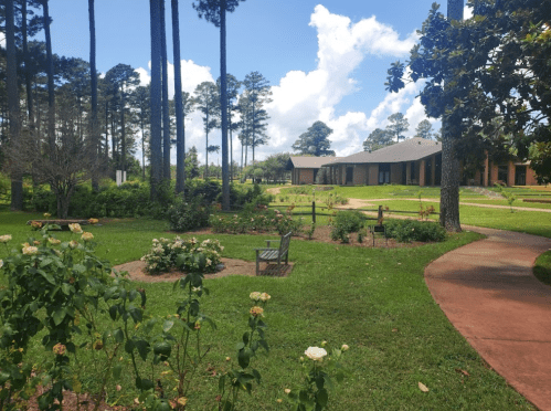 A serene garden with blooming roses, a bench, and tall trees under a blue sky with fluffy clouds.