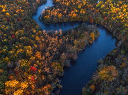 Aerial view of a winding river surrounded by vibrant autumn foliage in various shades of orange, yellow, and green.