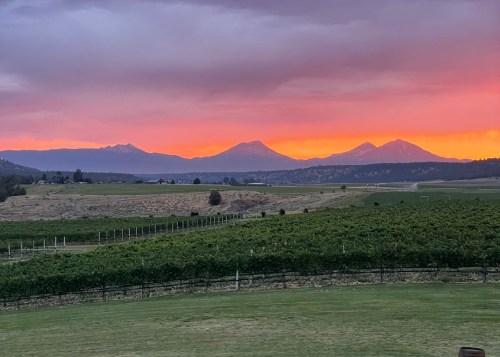 A vibrant sunset over mountains, with lush vineyards in the foreground and a colorful sky.