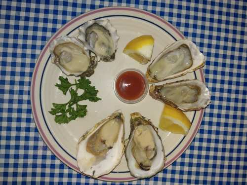 A plate of oysters on the half shell, garnished with lemon wedges, parsley, and a small cup of cocktail sauce.