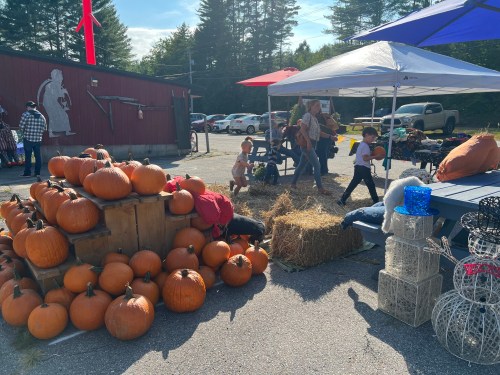 A pumpkin patch with stacked pumpkins, children playing, and tents in a sunny outdoor setting.