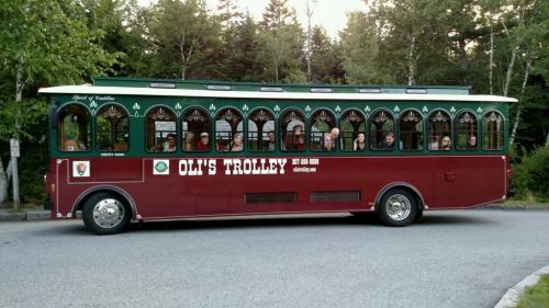 A red and green trolley bus with large windows, filled with passengers, parked in a scenic area surrounded by trees.
