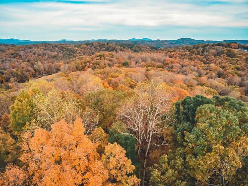 Aerial view of a vibrant autumn forest with colorful trees and rolling hills in the background.