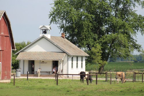 A white farmhouse with a bell tower, surrounded by cows and green fields, under a clear blue sky.
