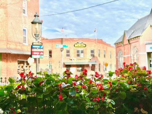 A view of a street with blooming red flowers in the foreground and buildings in the background under a cloudy sky.