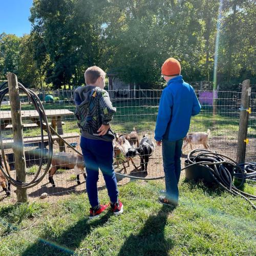 Two children watch goats through a fence on a sunny day, surrounded by greenery and farm equipment.