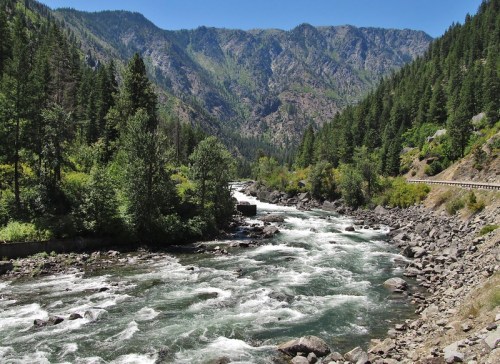 A flowing river surrounded by lush green trees and mountains under a clear blue sky.