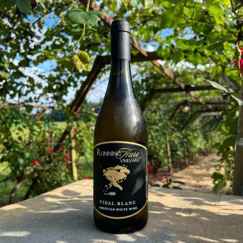 A bottle of Running Hare Vineyard Vidal Blanc white wine on a stone surface, surrounded by lush vineyard greenery.