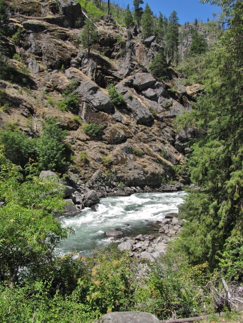 A rushing river flows through a rocky canyon surrounded by lush greenery and tall trees under a clear blue sky.