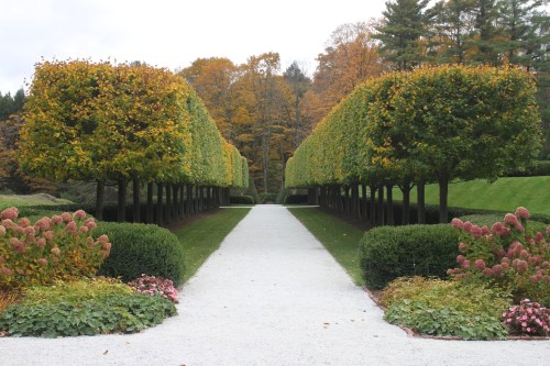 A serene garden path lined with neatly trimmed trees and colorful autumn foliage, surrounded by blooming flowers.