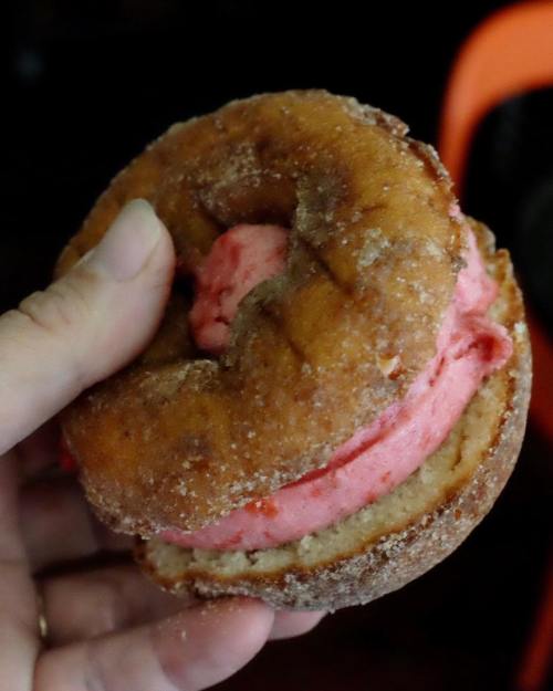 A hand holding a donut ice cream sandwich with pink ice cream between two cinnamon-sugar coated donuts.