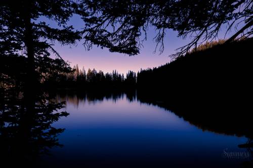 Silhouette of trees framing a calm lake at dusk, reflecting a gradient sky and surrounding forest.