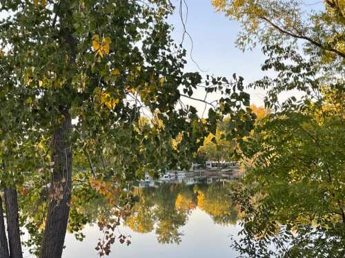 A serene lake scene framed by trees, reflecting autumn colors in the water under a clear sky.