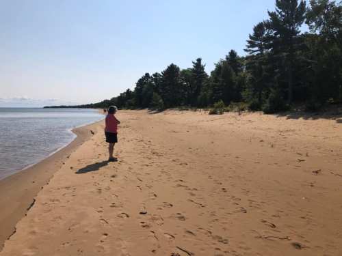 A person stands on a sandy beach by a calm lake, surrounded by trees under a clear blue sky.