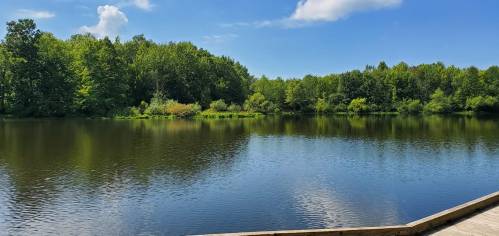 A serene lake surrounded by lush green trees under a clear blue sky. Reflections shimmer on the water's surface.