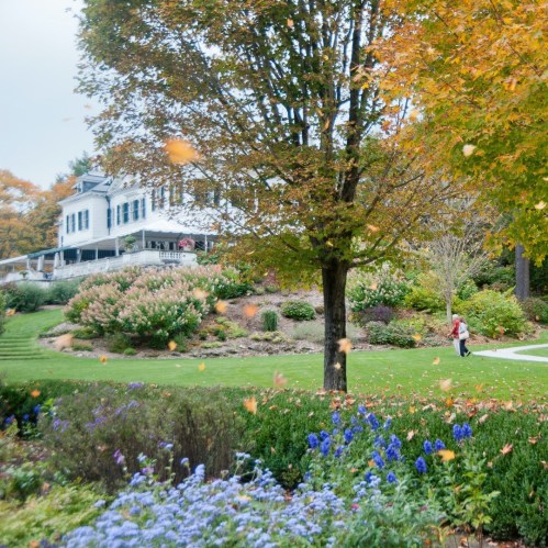 A scenic view of a garden with colorful autumn trees and a person walking on a path, surrounded by blooming flowers.
