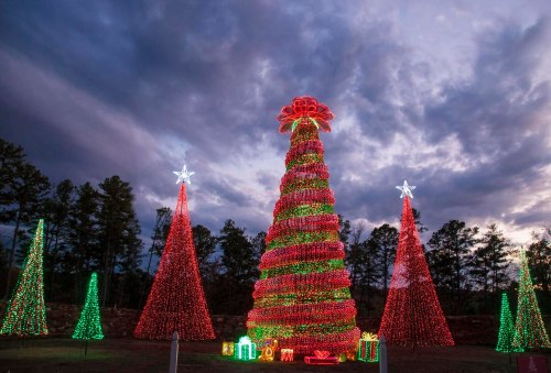 A brightly lit Christmas tree surrounded by red and green trees, with festive decorations against a cloudy sky.