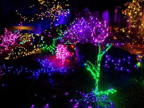 Colorful holiday lights illuminate a garden, featuring vibrant purple, green, and blue decorations, including a glowing flower.