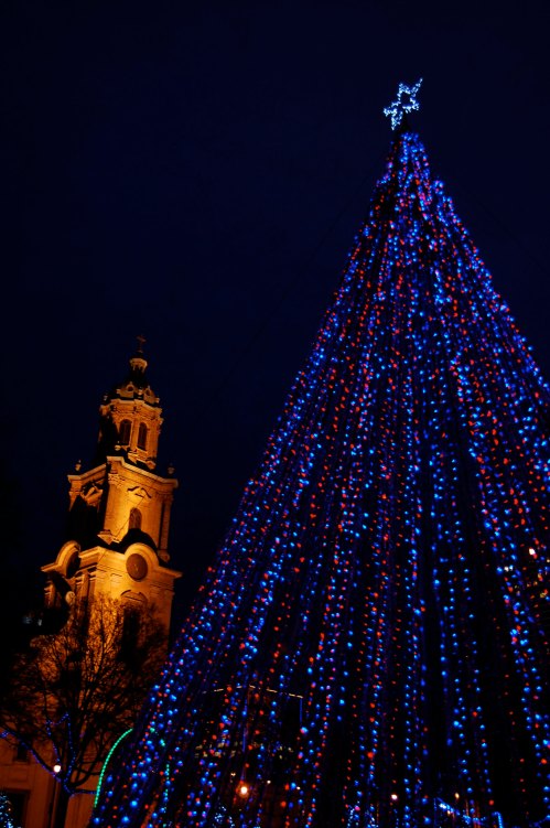 A brightly lit Christmas tree adorned with blue and red lights, set against a dark night sky and a historic building.