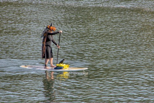 A person in a witch costume paddles on a stand-up paddleboard across a calm water surface.