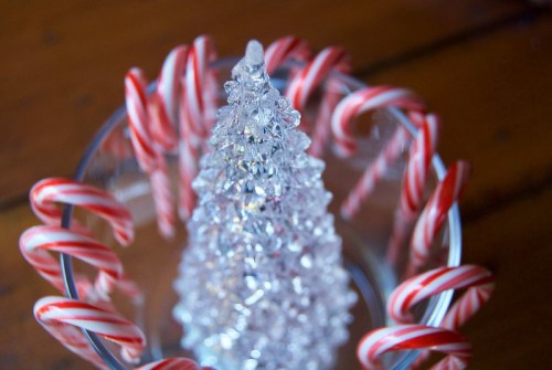 A clear glass Christmas tree surrounded by red and white candy canes in a bowl on a wooden surface.