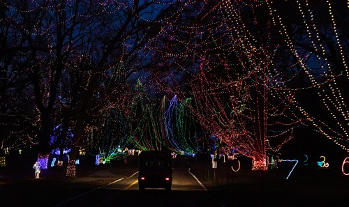 A car drives through a festive display of colorful holiday lights illuminating trees along the road at night.