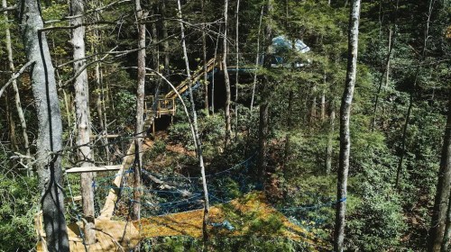 A wooden walkway and platform among tall trees in a lush forest, with blue ropes connecting different areas.