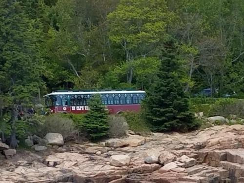 A red and white trolley bus parked near a rocky shoreline, surrounded by green trees and foliage.