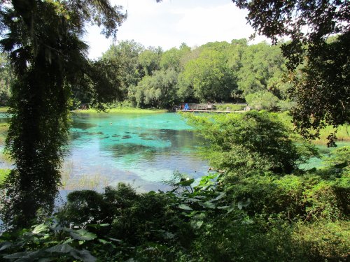 A serene blue-green lake surrounded by lush greenery and trees, with a wooden dock in the background.