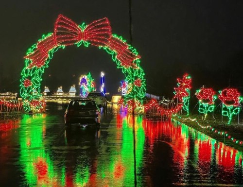 Colorful Christmas lights form an archway with bows and flowers, reflecting on a wet road at night.