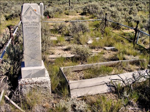 A weathered gravestone for Clarence Sarault in a sparse, overgrown cemetery surrounded by grass and shrubs.