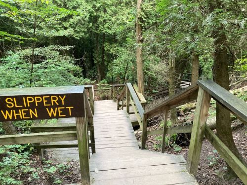 Wooden stairs leading down a forested path, with a sign warning "Slippery When Wet" visible on the railing.